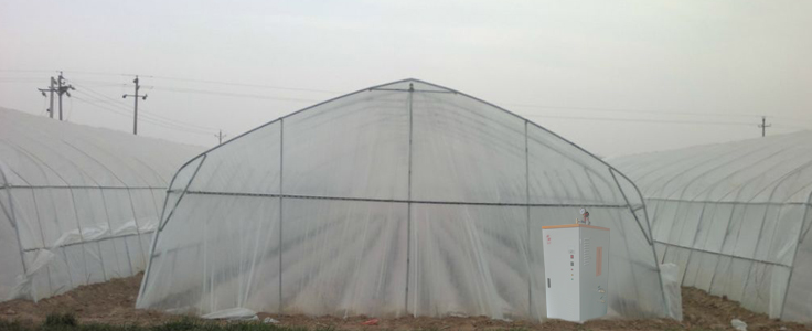 蘑菇种植 蘑菇种植