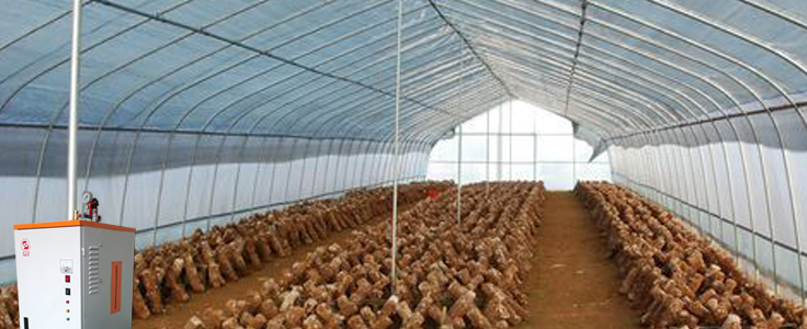 蒸汽发生器保温保湿 蒸汽发生器保温保湿