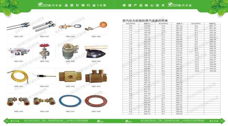 芭乐视频APP黄色版下载安装蒸汽发生器电子宣传册