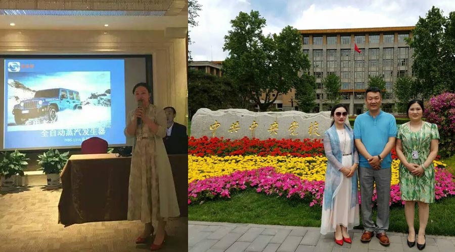 芭乐视频APP黄色版下载安装董事长介绍蒸汽发生器