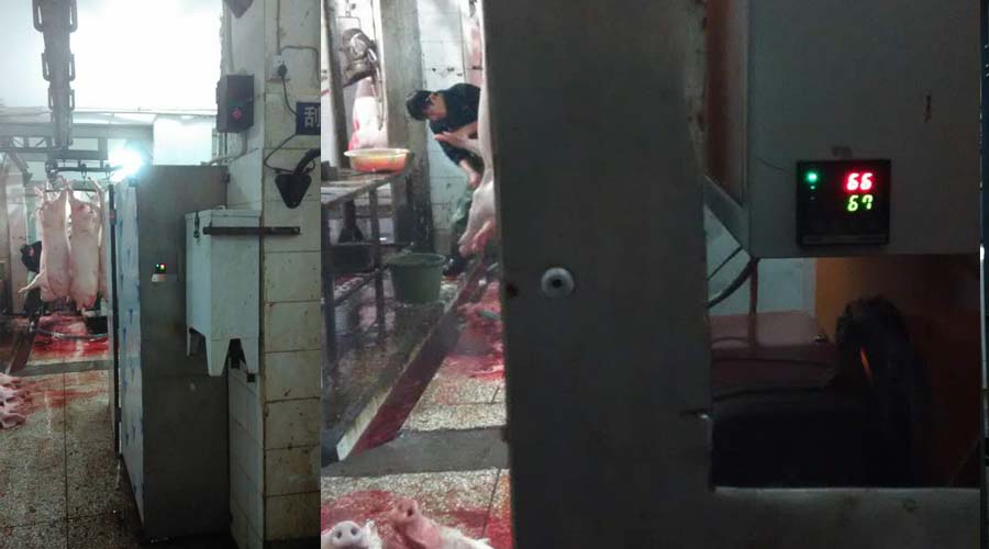 屠宰场蒸汽发生器