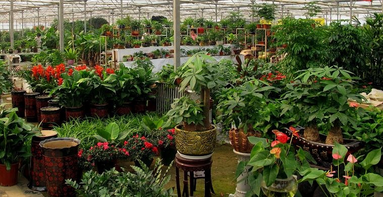 芭乐视频APP黄色版下载安装生物质蒸汽发生器.jpg 芭乐视频APP黄色版下载安装生物质蒸汽发生器.jpg