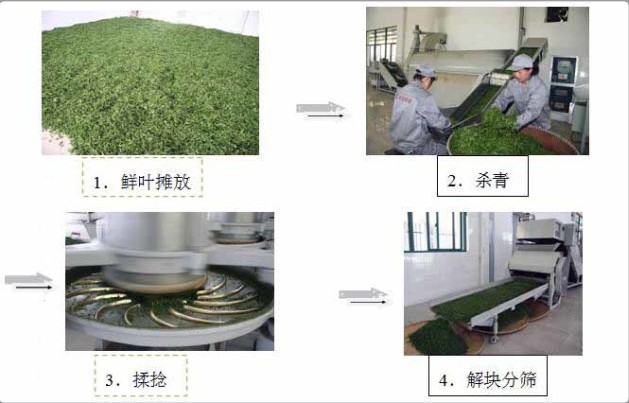 制茶案例 制茶案例