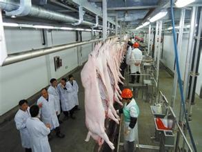 屠宰场烧水用芭乐视频污污污在线下载