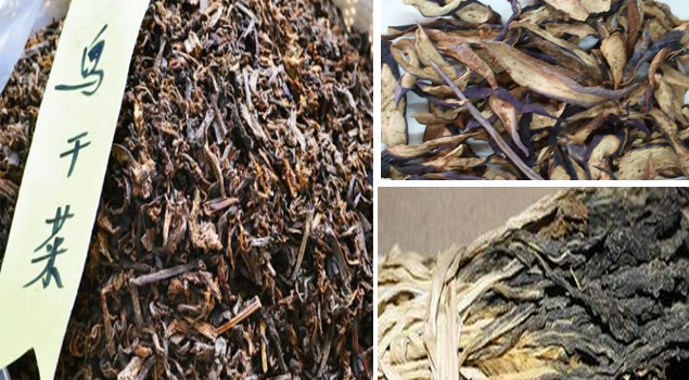 蔬菜烘干用芭乐视频污污污在线下载