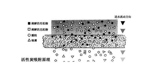 活性炭消毒芭乐视频污污污在线下载