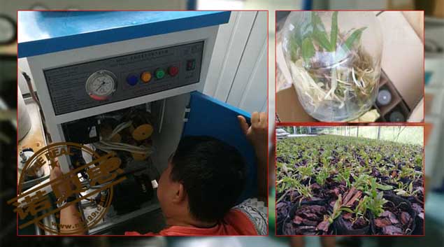 高压蒸汽发生器 高压蒸汽发生器