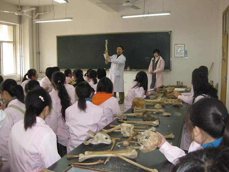 生物化工蒸汽发生器 生物化工蒸汽发生器