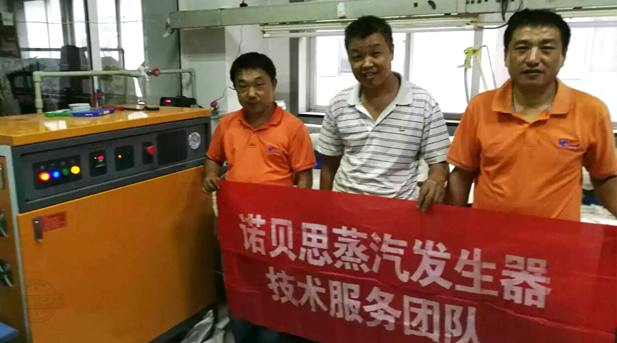 芭乐视频APP黄色版下载安装蒸汽发生器