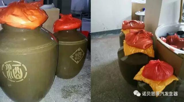 酿酒蒸汽发生器 酿酒蒸汽发生器