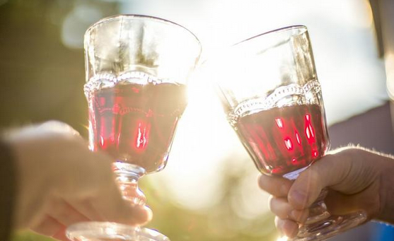葡萄酒酿制蒸汽发生器 葡萄酒酿制蒸汽发生器