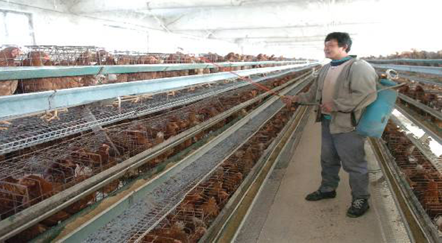 养鸡场消毒灭菌蒸汽发生器 养鸡场消毒灭菌蒸汽发生器