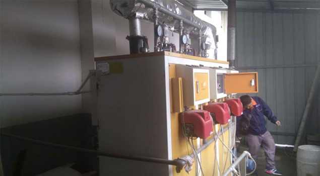 牛肉罐头灭菌蒸汽发生器 牛肉罐头灭菌蒸汽发生器