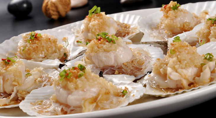 食品加工专用芭乐视频成人网站