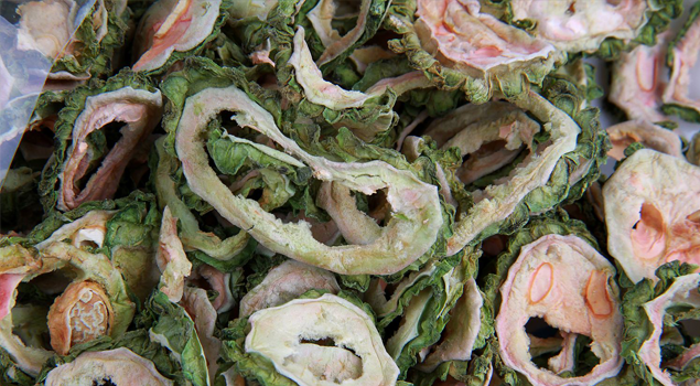 果蔬脱水蒸汽发生器 果蔬脱水蒸汽发生器