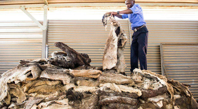 驴皮烘干蒸汽发生器 驴皮烘干蒸汽发生器