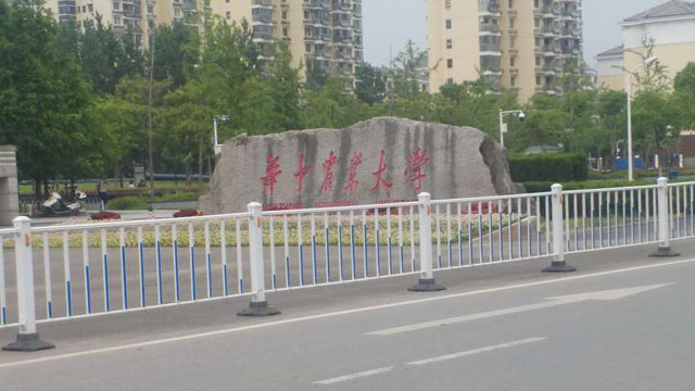 实验研究专用蒸汽发生器 实验研究专用蒸汽发生器