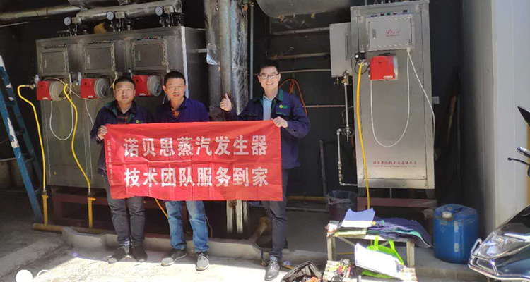 芭乐视频APP黄色版下载安装蒸汽发生器工作人员和客户合影