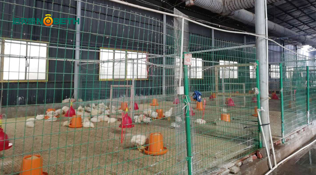 燃气蒸汽锅炉 燃气蒸汽锅炉