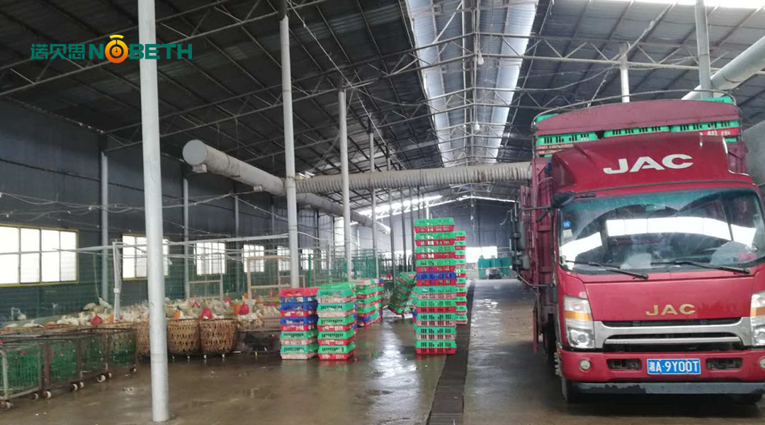 燃气蒸汽锅炉 燃气蒸汽锅炉