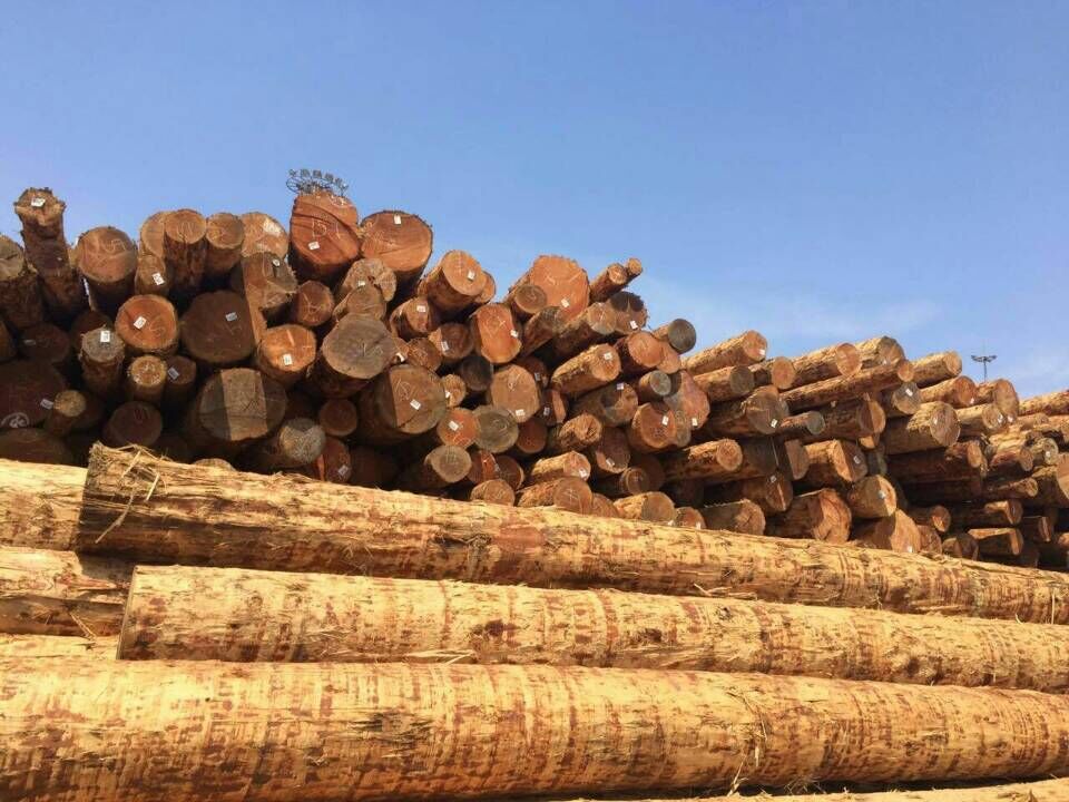 木材厂使用蒸汽发生器将木屑烘干