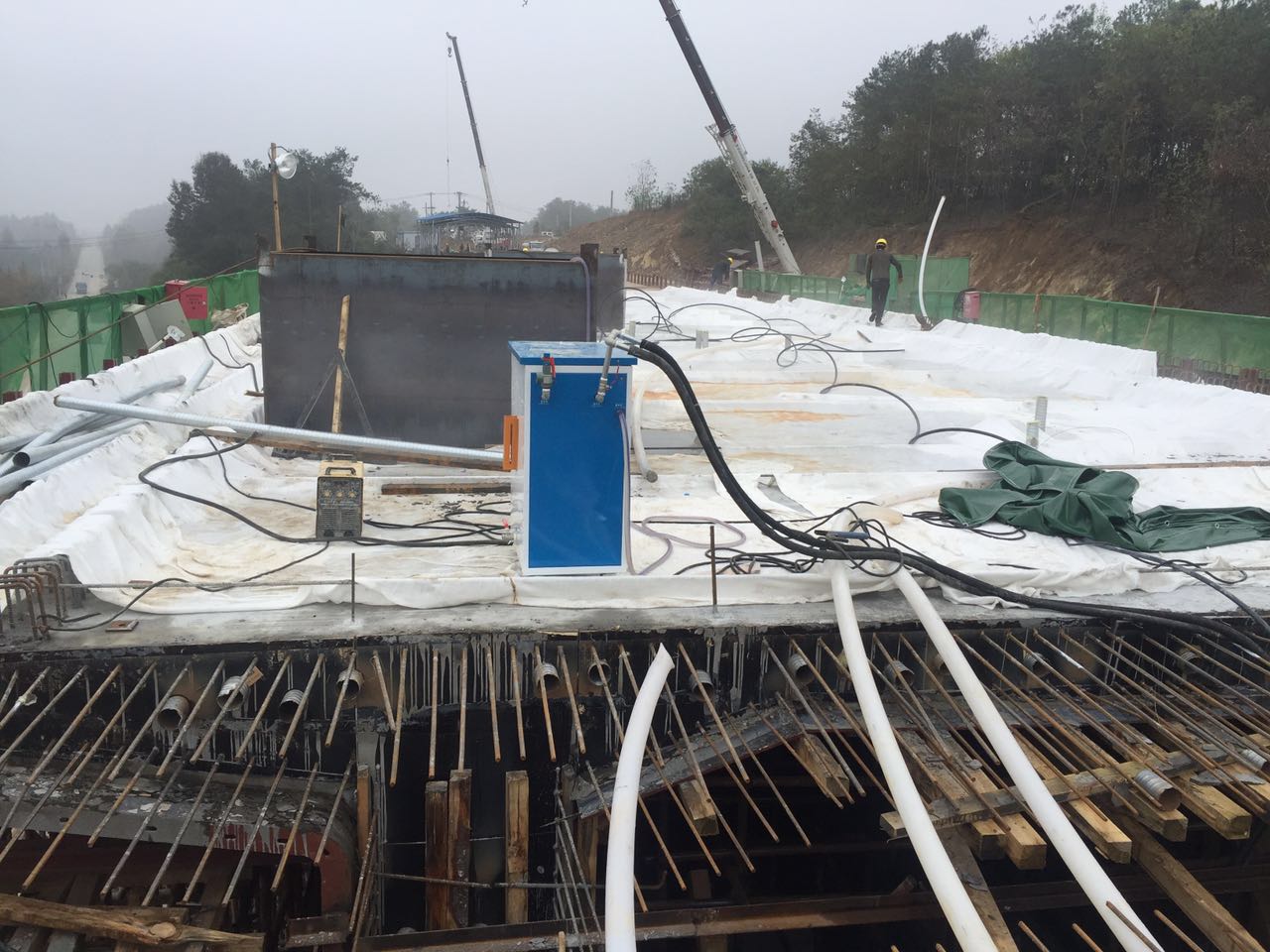 芭乐视频APP黄色版下载安装电加热混凝土养护蒸汽发生器