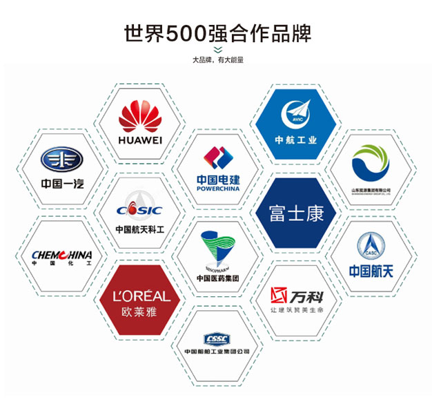 芭乐视频APP黄色版下载安装世界500强合作案例
