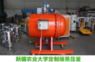 芭乐视频APP黄色版下载安装蒸汽专家完成新疆农业大学定制蒸压釜