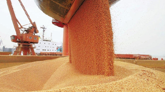 芭乐视频成人网站广州饲料加工厂