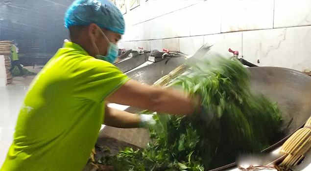 电气化制茶成主流，蒸汽发生器让制茶无烟化，实现零排放的环保目标